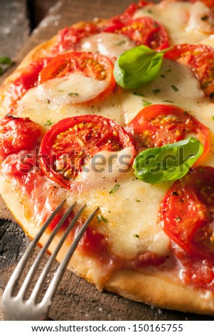 Close up of freshly baked cheese and tomato Italian pizza on a crisp golden pastry base garnished with basil leaves