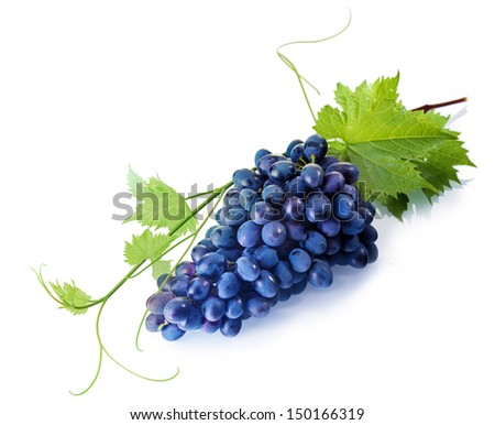 Bunch of fresh tempting fresh purple table grapes with green vine leaves on a white background