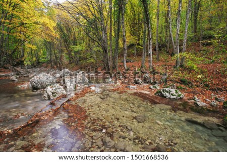 Amazing Autumn landscape. River in colorful autumn park with yellow, orange, red, green leaves. Golden colors in the mountain forest with a small stream. Season specific. 
