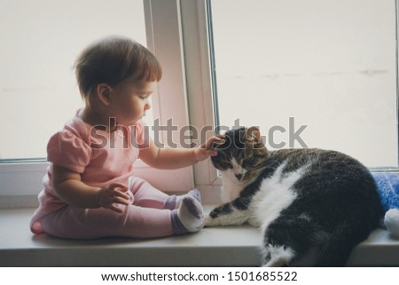 A small child plays with a cat on the window. Happy childhood concept, pet protection, alternative medicine
