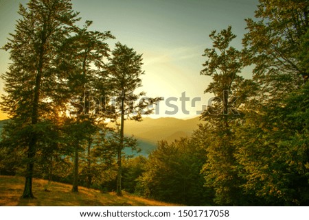 nature in the first days of autumn. Mountain forest near autumn. A beautiful sunset. In a rural area of Romania