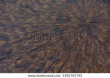 blurred abstract dark background with wooden texture	