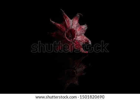 One whole sweet red candied hibiscus isolated on black glass