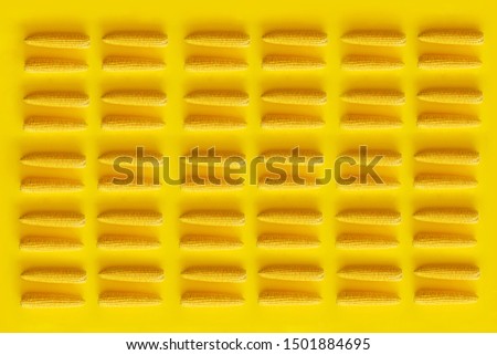 corn on a yellow bright background