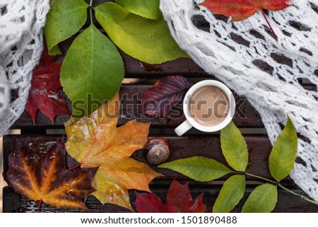 Ceramic cup of coffee with foam, white knitted shawl, dry colorful fallen leaves and chestnut on wet wooden bench with raindrops in autumn. Flat lay, top view
