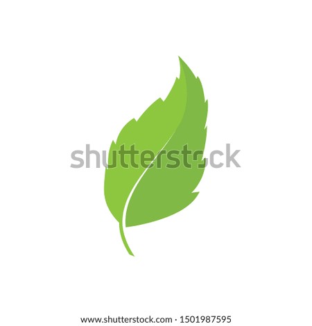 logos of green tree leaf ecology nature element vector