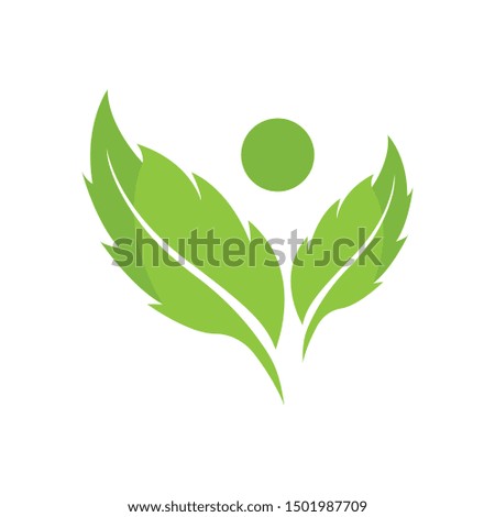 logos of green tree leaf ecology nature element vector