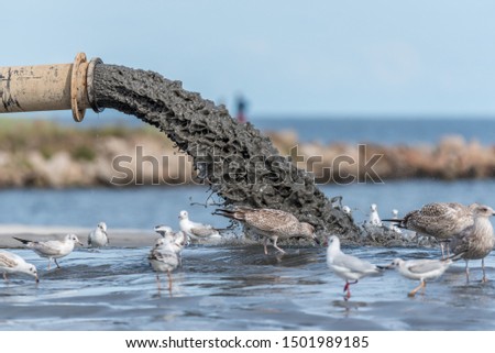 Sludge Pollution Pouring into the Baltic Sea and Seagulls Royalty-Free Stock Photo #1501989185