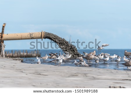 Sludge Pollution Pouring into the Baltic Sea and Seagulls Royalty-Free Stock Photo #1501989188