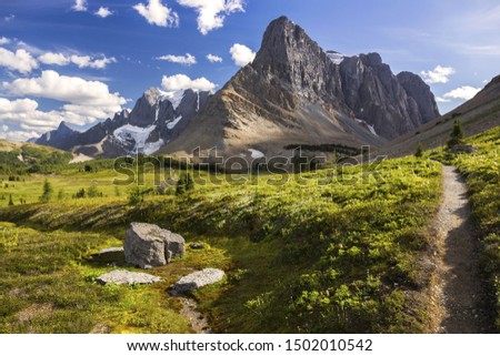 Green Alpine Meadows and Rockwall Mountain Peak Cliffs on a Great Summertime Hiking Trail in Kootenay National Park, Canadian Rockies Royalty-Free Stock Photo #1502010542