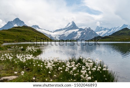 Bachalpsee in Grindelwald with Eiger Mönch and Jungfrau in the back and Flowers in the front