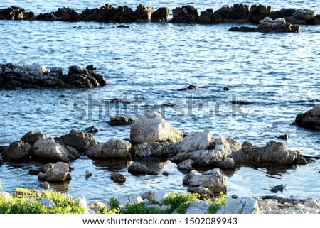 Seaside landscape in winter at sunrise with cold hues and grazing light on the rocks