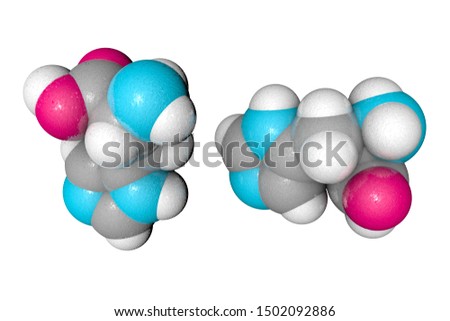 Space-filling molecular model of d-histidine. Atoms are represented as spheres with conventional color coding: carbon (grey), oxygen (red), nitrogen (light blue), hydrogen (white). 3d illustration