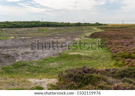 Controlled burning of old and dry heather at Morsum Cliff, Germany. The process of burning small areas removes the older growth and allows the plants to regenerate. On the left you see the burned area Royalty-Free Stock Photo #1502119976