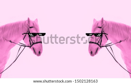 idea creative photo symmetrical blank with two horses in pixel glasses in pink. fun. copy space, place text