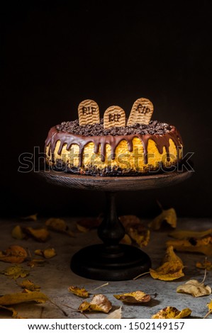 Pumpkin Cheesecake with Festive Halloween Decoration, copy space for your text