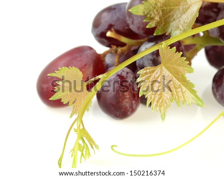grape on white background
