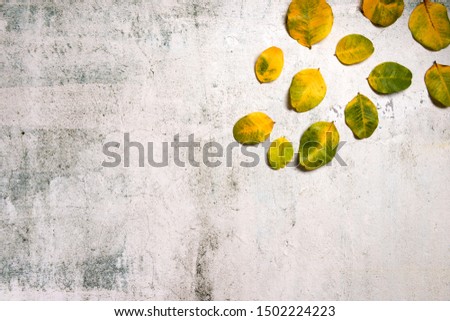 Pattern made of red and yellow fall leaves on dark concrete background, autumn concept. Flat lay, top view