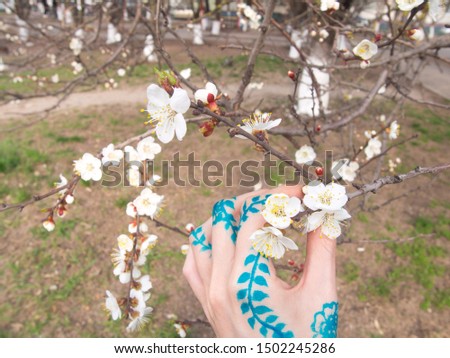 Spring blossom trees with white flowers and hand with henna