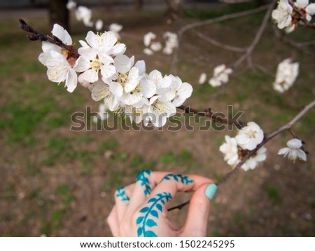 Spring blossom trees with white flowers and hand with henna