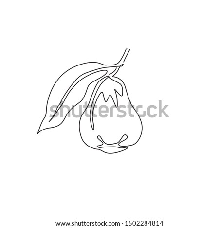 One single line drawing of whole healthy organic bell fruit for orchard logo identity. Fresh rose apple fruitage concept for fruit garden icon. Modern continuous line draw design vector illustration