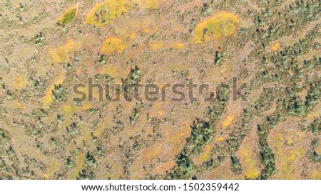 View from above. Texture of the colorful abstract swamp and forest.
