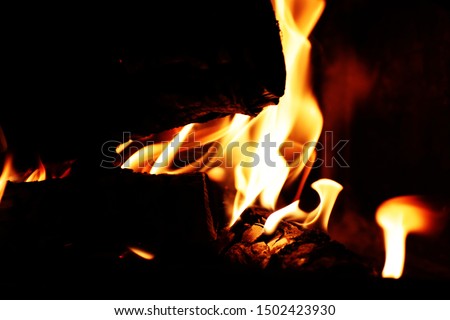 The picture shows a fire in a home fireplace.
