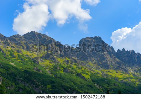 View of the alpine mountains on a sunny summer day. A beautiful picture of the sky, mountains and forest.