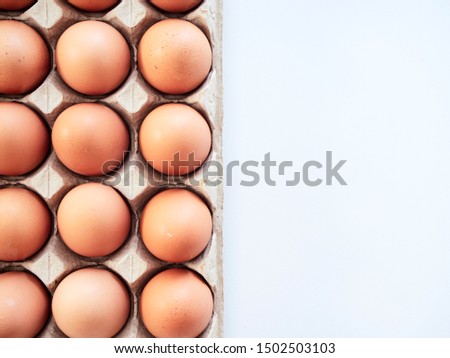 Hen eggs in paper panel on white background. Design products in the supermarket. Breakfast menu concept. space for text. top view