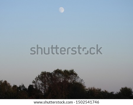 Moon Rising Over A Treeline in Late Summer