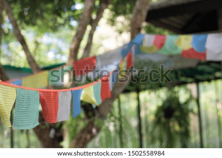 Multi colored flags in the garden party