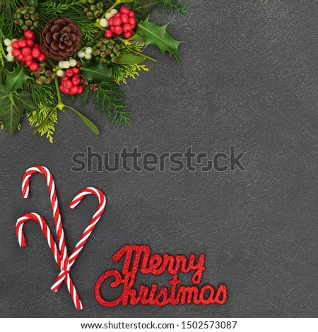 Merry Christmas background border with candy canes and glitter sign with winter flora of holly, mistletoe, ivy and cedar leaves on grunge grey background with copy space.