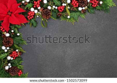 Poinsettia flower background border with silver ball baubles, holly, mistletoe and winter flora on grunge grey background with copy space. Traditional Thanksgiving or Christmas theme.