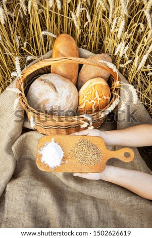 Basket with bread on the background of wheat ears.  Bakery products in a basket on a wheat field. Basket with bread.