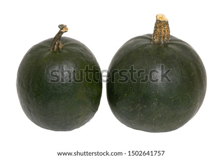  Pumpkin isolated. Close-up of two green Rondini pumpkins isolated on a white background. Healthy nutrition. Macro.