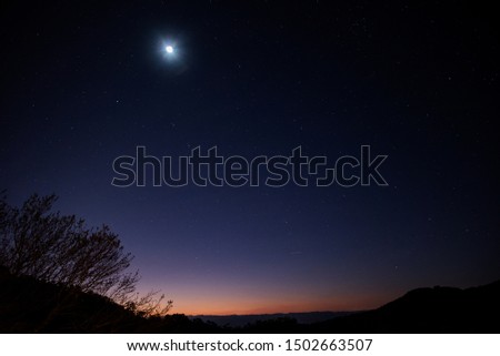 night sky with stars ans moon after sunset behind a tree