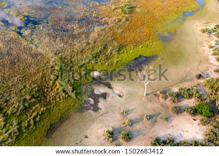 Aerial view to delta Okavango, bush, jungle, savanna.