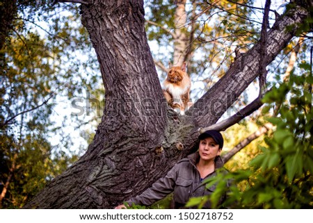 A girl and a gigantic maine coon cat in forest in summer.