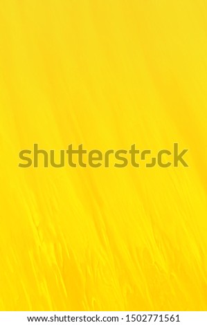 Yellow Decorative Stucco Surface. Wall Texture. Abstract Background