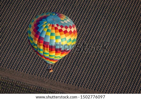 A colorful hot air balloon flies early in the morning at sunrise above the Napa Valley, California, known for its vineyards and wineries in addition to ballooning.  Newly planted grape vines are seen.