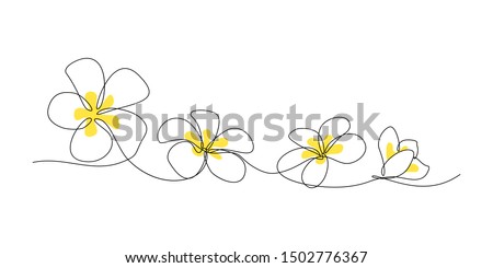 Plumeria flowers in continuous line art drawing style. Minimalist black line sketch on white background. Vector illustration