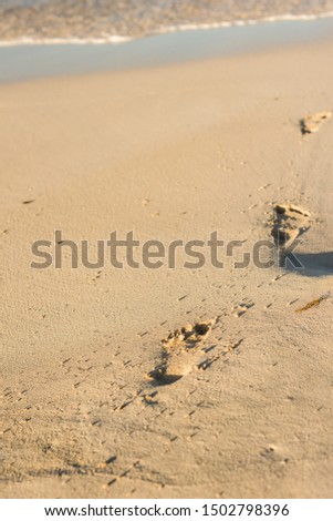 footprints in the sand heading to the water