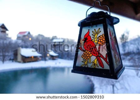 Picture of the lantern with red bird in winter