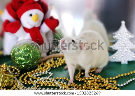 White Rat in the Christmas atmosphere among Christmas beads near toy snowman. Symbol of the year 2020. Happy New year.