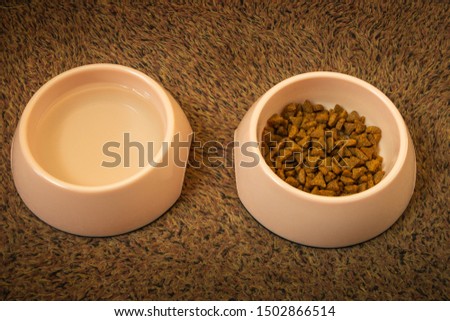 Cat food and water in pink cups to take care of the health of your domestic cat, picture taken in the Netherlands 