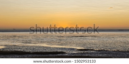 
Sunset scene of seaside wetlands