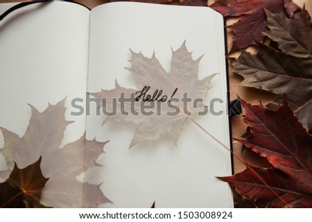Hello autumn concept. Text in notebook and maple leaves. Fall creative idea. Flat lay and top view