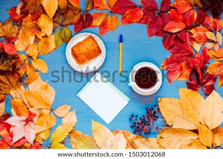 Autumn yellow red leaves medicine autumn background