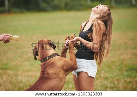 Woman have a walk with her dog outdoors in the park. Having good time.