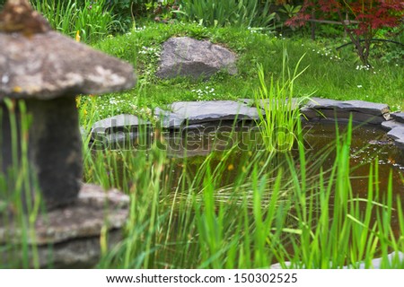 Decorative pond  in summer garden.